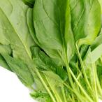  шпинат химия пестициды * химия удобрение не использование нет пестициды Chiba производство howe Len .(500g)