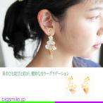 Yahoo! Yahoo!ショッピング(ヤフー ショッピング)イヤリング ピアス レディース 選べる 揺れる 軽い 貝殻 シェル シャンデリア 金 ゴールド 自然 ナチュラル カジュアル 大人カワイイ プレゼントに最適