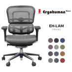 メーカー直送 エルゴヒューマン ベーシック ロータイプ メッシュ EH-LAM 高機能オフィスチェア Ergohuman