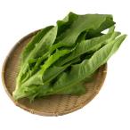  свежий водная культура овощи масло пшеница .100gUP упаковка 