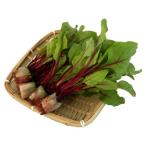 Yahoo! Yahoo!ショッピング(ヤフー ショッピング)新鮮水耕野菜 ベビーリーフ・デトロイト 業務用バラ KG売