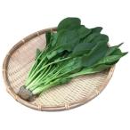  свежий водная культура овощи салат шпинат для бизнеса роза 2KG