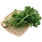  свежий водная культура овощи кресс для бизнеса роза 2KG