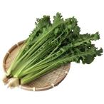 Yahoo! Yahoo!ショッピング(ヤフー ショッピング)新鮮水耕野菜 エンダイブ・ロマネスカ 業務用バラ KG売