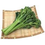  свежий производство прямой овощи палочка senyo-ru для бизнеса роза KG.