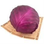  свежий производство прямой овощи красный капуста 600gUP шар 