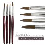  ногти высокое качество 12 номер [ scalp щетка 4 вид ] жаростойкость, долговечность * ногти 