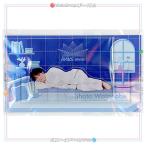 Snow Man Dome Tour 2