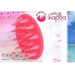  шампунь щетка капсулпа aKapuatoli монета пыль Lee z....( подарок подарок )