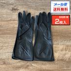 メール便送料無料 THE BLACK GLOVE ザ ブラック グローブ 2枚入 1セット SSサイズ Sサイズ Mサイズ Lサイズ パウダーフリー 左右別手型タイプ