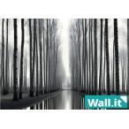 Wall.it A4 фигурка дисплей кейс специальный задняя сторона дизайн сиденье ширина направление зима средний дерево дорога белый береза дерево улица .. река дождь сверху . пейзаж .. дерево 