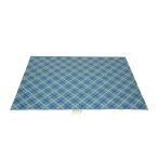 キャプテンスタッグ M3339 クッションレジャーシート ピン4本付 ブルーチェック 180×240cm 敷物 花見 バーベキュー アウトドア キャンプ M-3339