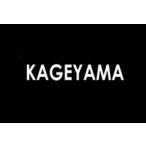 景山産業 ナス型オモリ 0.5号 錘 オモリ おもり シンカー 仕掛け 海釣り 釣具 つり KAGEYAMA
