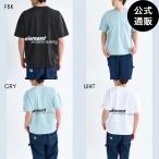 (25日-26日はボーナスストア+10％)OUTLET 送料無料 （公式）エレメント メンズ REFLECTION SS Tシャツ 2025年春夏モデル 全3色 M/L/XL ELEMENT