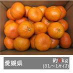 ショッピング甘平 訳あり甘平 約５ｋｇ ３Ｌ-Ｌサイズ 愛媛県産