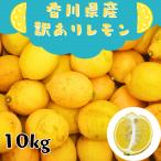 訳あり 国産レモン 香川県産 5kg 10kg 無ワックス 皮ごと使える 家庭用 業務用 料理 お菓子作り レモンシロップ 産地直送 送料無料