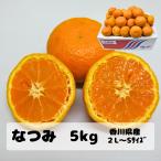 樹上完熟なつみ（南津海） 約５ｋｇ２Ｌ−S（30−60個前後） 香川県産