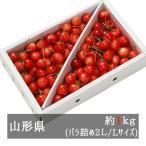 【産地直送】 佐藤錦 バラ詰め2L/Ｌサイズ１ｋｇ 山形県産