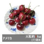 アメリカンチェリー 9.5R大粒 約1kg アメリカ産