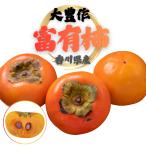  хурма . иметь хурма есть перевод Kagawa префектура производство 7.5kg. хурма нестандартный для бытового использования M S размер ... произведение Seto внутри витамин C высушенный хурма джем обработка для бесплатная доставка 