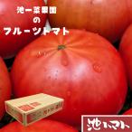 池一菜果園 フルーツトマト 約750g 高知県産 糖度8度以上 池トマト 減農薬栽培 冷蔵便