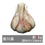 訳あり生にんにく 約２ｋｇ サイズおまかせ 香川県産