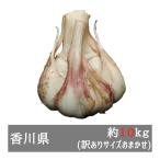 訳あり生にんにく 約１０ｋｇ サイズおまかせ 香川県産