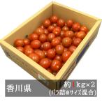 お徳用ヘタなしミニトマト 約２ｋｇ 香川県産