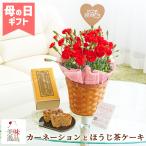 母の日 2024 花とスイーツ カーネーション(赤) 鉢植え ほうじ茶大納言ケーキ いつもありがとうピック付き 限定 セット プレゼント フラワーギフト 菓子 贈り物
