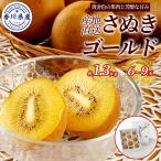  Kagawa префектура производство киви ... Gold примерно 1.3kg(6~9 шар ) подарок комплект 2L~5L размер местного производства киви bird прямая поставка 2 месяц средний . до. распродажа мир максимальный товар вид Gold киви фрукты 