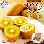  Kagawa префектура производство киви. Tama .... киви .. примерно 1.2kg(24 шар )3L размер местного производства сельское хозяйство дом прямая поставка 3 месяц средний . до. распродажа маленький Mini дозревание сахар раз 16~20 раз один . редкий киви bird 