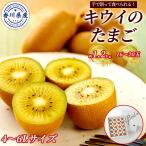  Kagawa префектура производство киви. Tama .... киви .. примерно 1.2kg(16~20 шар ) подарок комплект 4L~6L размер местного производства сельское хозяйство дом прямая поставка 3 месяц средний . до маленький Mini дозревание редкий киви bird 