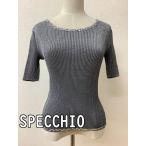 SPECCHIO spec chio серый плиссировать tops серебряный украшен блестками . бисер украшение размер 40