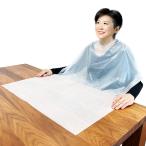 竹虎 ヒューマンケア事業部 竹虎食事用エプロン使い捨て / 102295　50枚