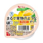 ハウスギャバンやさしくラクケアまる...