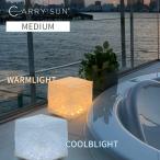 CARRY THE SUN ミディアム LED ランタン キャリーザサン ソーラーランタン インテリア 折り畳み 太陽光パネル ソーラー充電 軽量 防水 防災 メール便無料