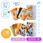 ��t��� �����Ȃ��邽�v���X ������ �� �� ���̂񂿂�� �R���{ ���邽 �����C�ŗV�ׂ� �� ������ ���낱 �����C �h�� ������ �m�� �ߋ� �������� ���[���֖���