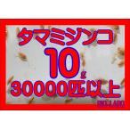 タマミジンコ　10ｇ　30000匹以上