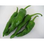 a. перец стручковый 