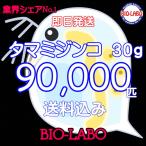 送料無料　タマミジンコ　30ｇ　活