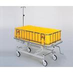 ��������  �ʥӥ�  �٥ӡ����ȥ�å��㡼 �ԣ٣�����  �緿��