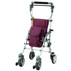 キャリースルーンＮ　ＣＳ−１０ＦＢ