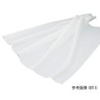 ナビス(アズワン) 滅菌ベビータオル 680×800mm 10枚入 BT-2