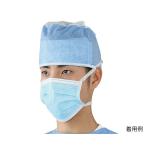 ナビス（アズワン） �