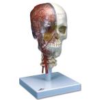 ̵�������� �о����� 3B��  �����Ϸ� ��Ƭ�����Ϸ� Ƭ��Ǿ��������Ⱦ¦Ʃ��7ʬ���ǥ� (a283) �� 蝹�  �Ϸ�