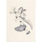 マットPP板 小(240x180x0.5mm) 紙・ペーパー