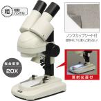 小型双眼実体顕微鏡(傾斜鏡筒) 顕微