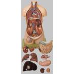 ̵�������� �о����� ���ॽ�� ��ǯ�����ο��β�˶�Ϸ� as12 蝹�  �Ϸ�