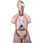 ̵�������� �о����� 3B�ҡ��ȥ륽����˶�Ϸ� �ȥ륽��21ʬ���ǥ�̵����¦������ (b17) �� 蝹�  �Ϸ�