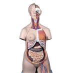 ̵�������� �о����� 3B�ҡ��ȥ륽����˶�Ϸ� �ȥ륽��24ʬ���ǥ�ξ�� (b30) �� 蝹�  �Ϸ�